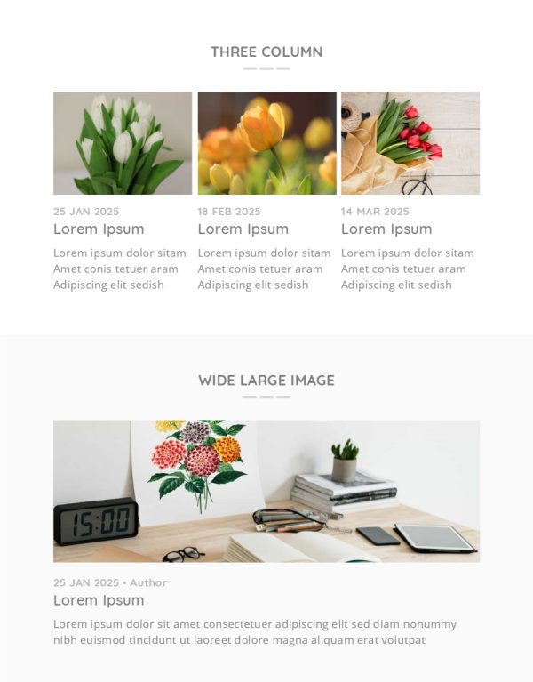 Download Fritz Responsive Multipurpose Email Template Fritz Responsive Multipurpose Email Template, very easy to edit, Fits in any device.