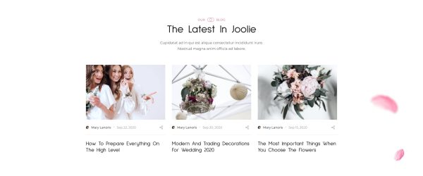 Download Joolie - Wedding Store HTML Template