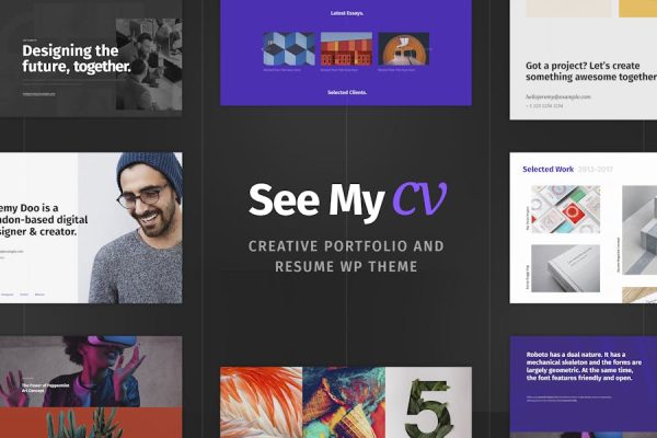 Download See My CV - Resume WordPress Theme