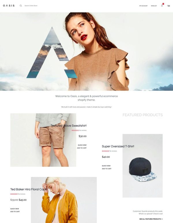 Download Oasis - Modern Shopify Theme