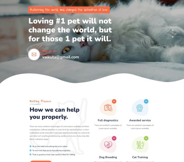 Download Valkuta - Pet WordPress Theme Pet Care And Pet Sitting, Pet Grooming And Pet Shop, Pets and Vets, Animal Care