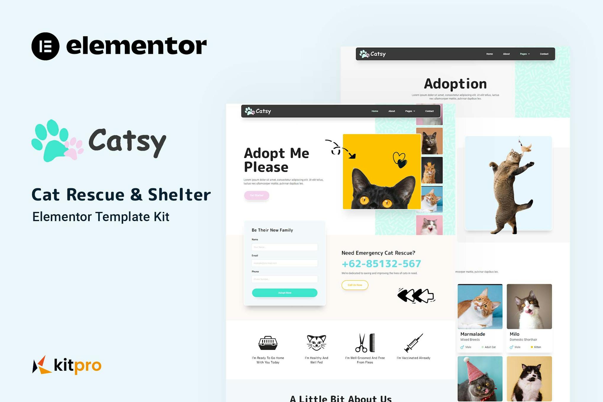 Download Catsy - Cat Rescue & Shelter Elementor Template Kit