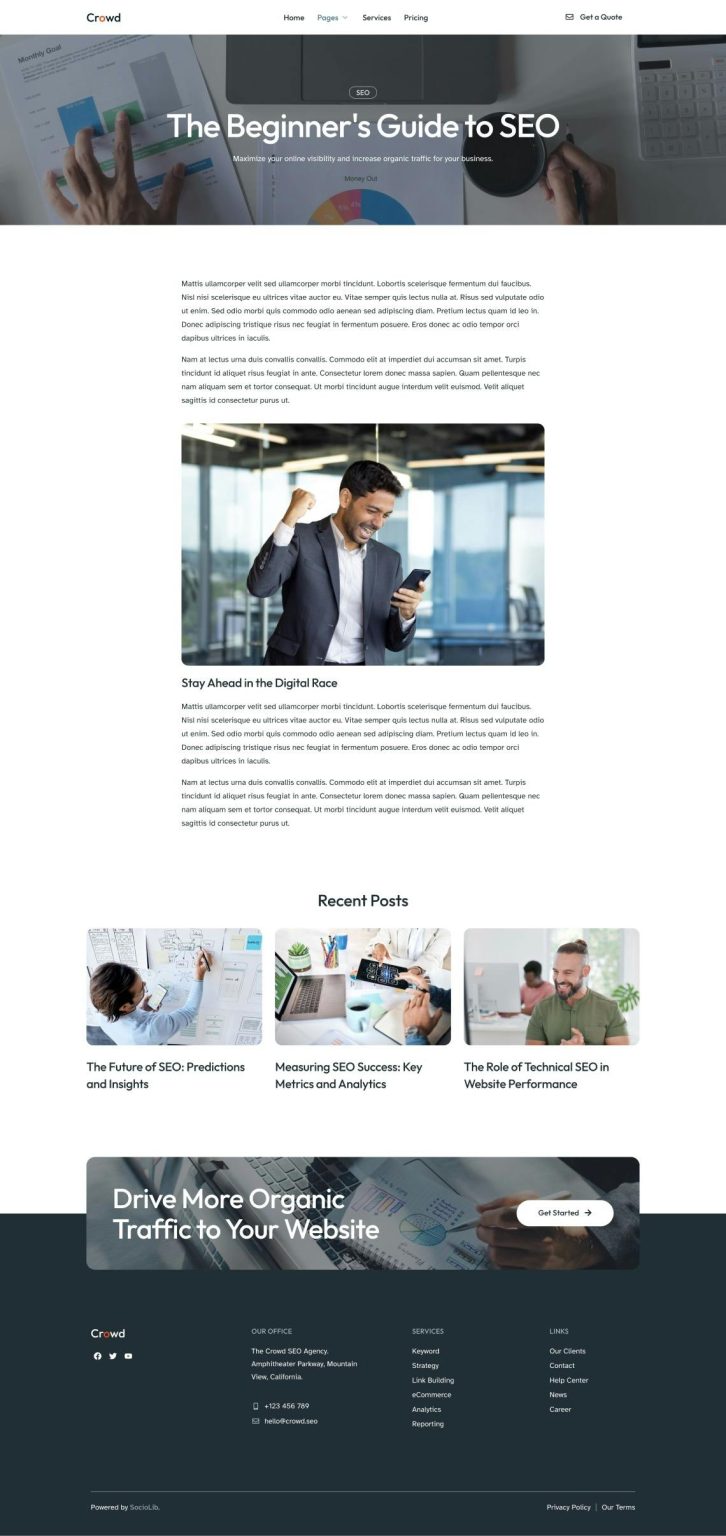 Download Crowd - SEO & Digital Marketing Agency Elementor Template Kit