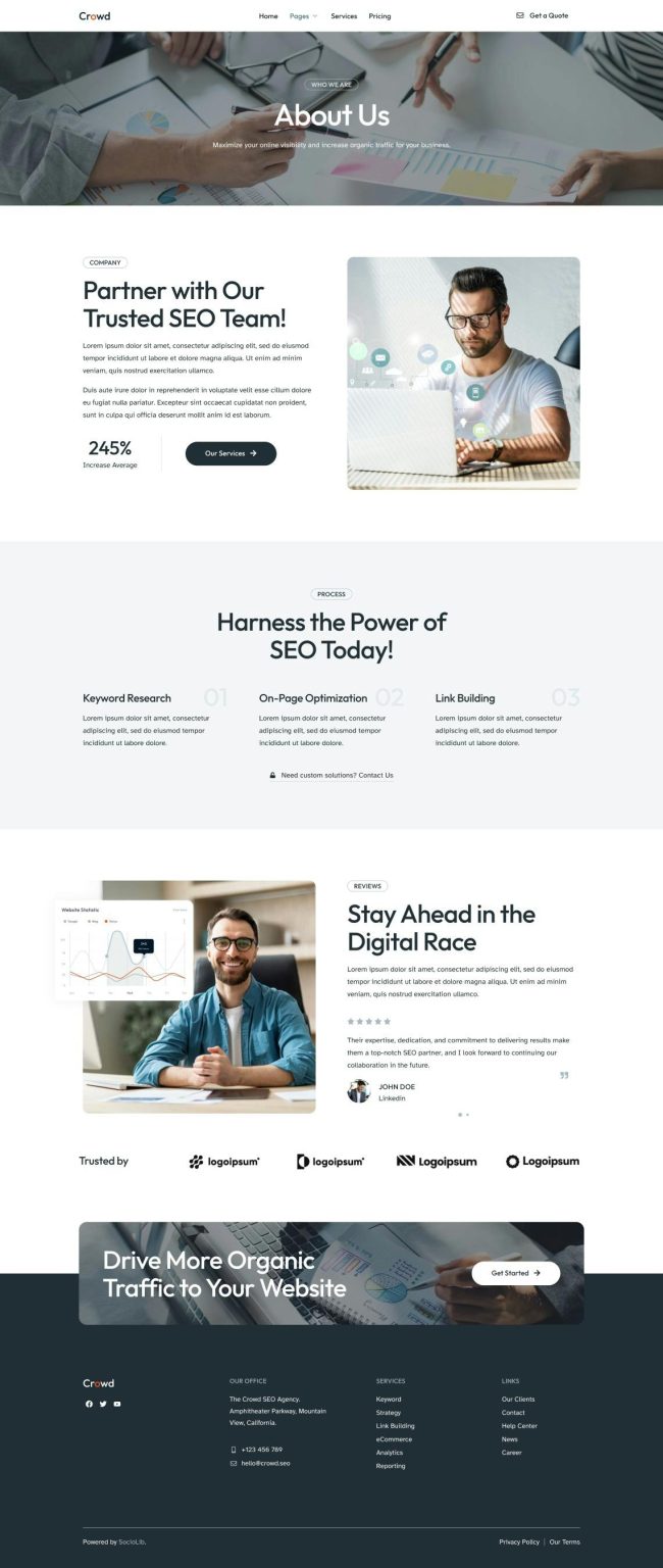 Download Crowd - SEO & Digital Marketing Agency Elementor Template Kit