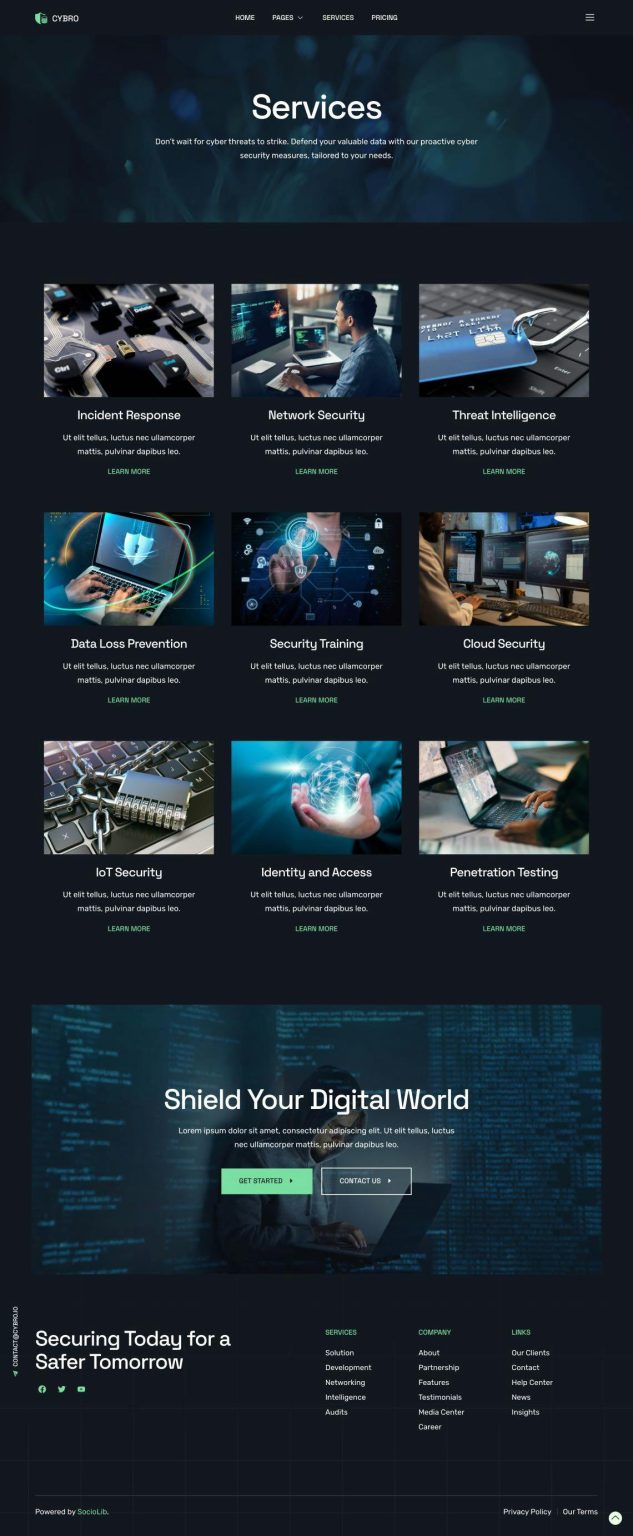 Download Cybro - Cyber Security Services Elementor Template Kit