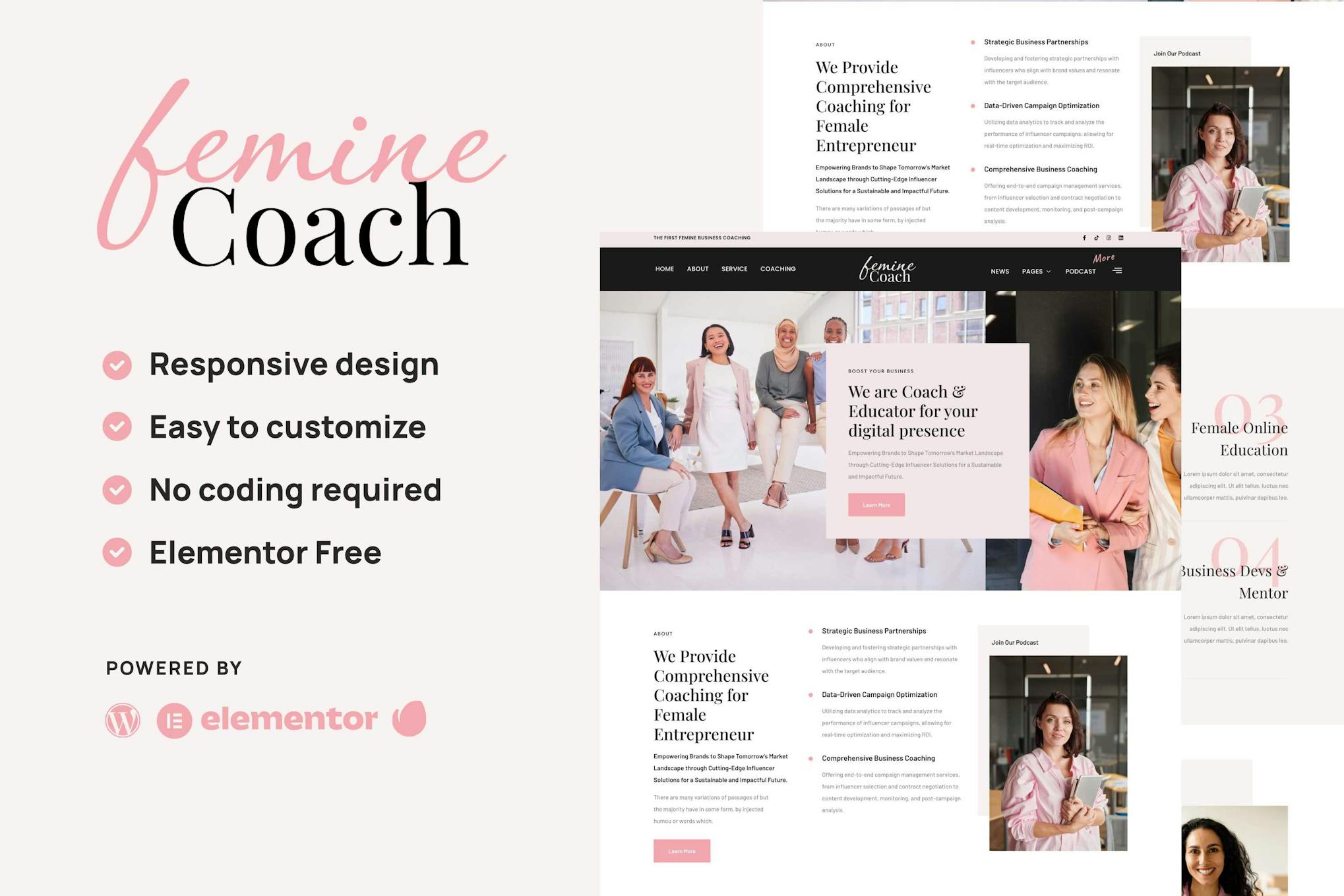 Download Femine - Feminine Business Coach Elementor Template Kit