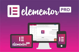 Elementor Pro Plugin Download