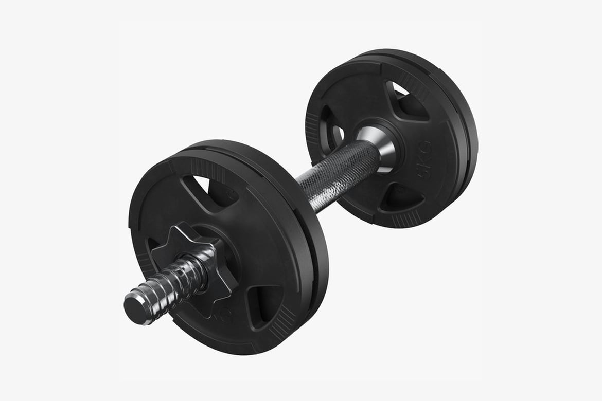 Download Angled Dumbbell with Textured Grip and Grooved Weights 3D Model