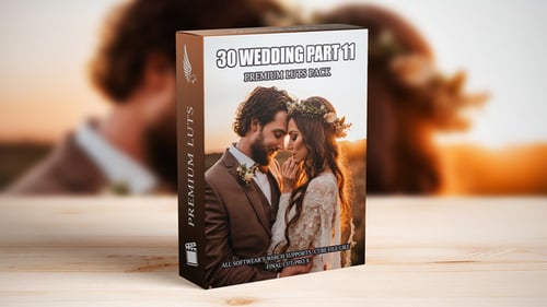 Download Best Cinematic LUTs for Wedding Videos: 30 Pro-Level Presets for Videographers Final Cut Pro Template