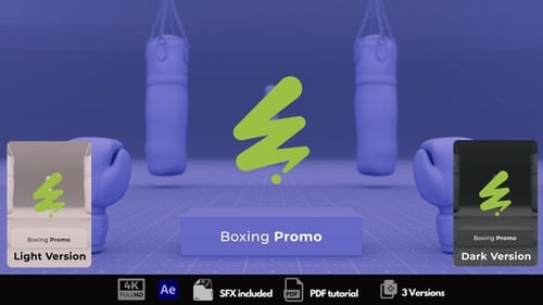 Download Boxing Promo After Effect Template