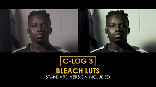 Download C-Log3 Bleach and Standard Color LUTs Apple Motion Template