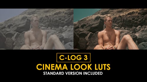 Download C-Log3 Cinema Look and Standard Color LUTs Apple Motion Template