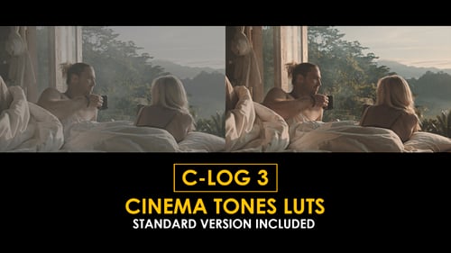 Download C-Log3 Cinema Tones and Standard Color LUTs Apple Motion Template