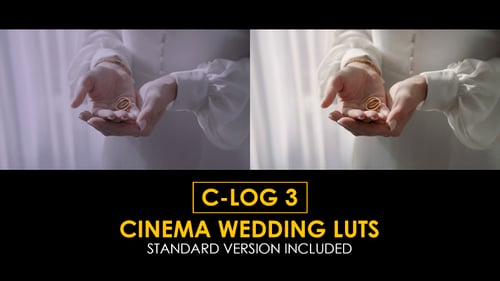 Download C-Log3 Cinema Wedding and Standard Color LUTs Apple Motion Template