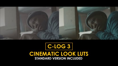 Download C-Log3 Cinematic Look and Standard Color LUTs Apple Motion Template