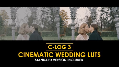 Download C-Log3 Cinematic Wedding and Standard Color LUTs Apple Motion Template