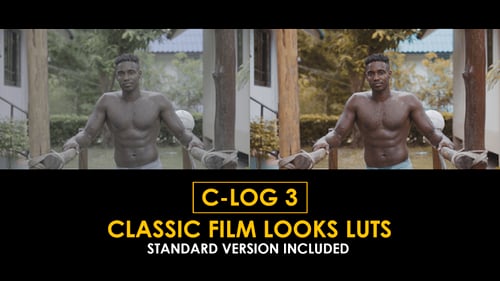 Download C-Log3 Classic Film Looks and Standard Color LUTs Apple Motion Template