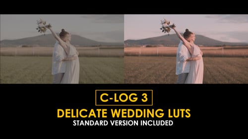 Download C-Log3 Delicate Wedding and Standard Color LUTs Apple Motion Template