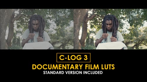 Download C-Log3 Documentary Film and Standard Color LUTs Apple Motion Template