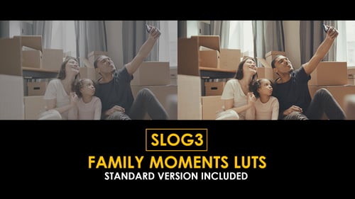 Download C-Log3 Family Moments and Standard Color LUTs Apple Motion Template