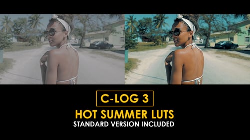 Download C-Log3 Hot Summer and Standard Color LUTs Apple Motion Template