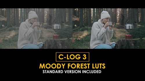 Download C-Log3 Moody Forest and Standard Color LUTs Apple Motion Template