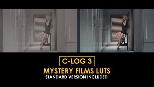 Download C-Log3 Mystery and Standard Color LUTs Apple Motion Template