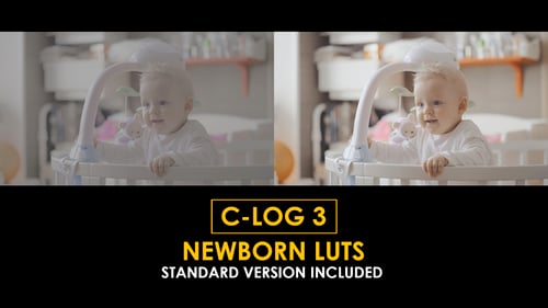 Download C-Log3 Newborn and Standard Color LUTs Apple Motion Template