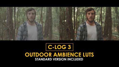 Download C-Log3 Outdoor Ambience and Standard Color LUTs Apple Motion Template