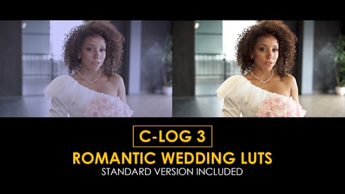 Download C-Log3 Romantic Wedding and Standard Color LUTs Apple Motion Template