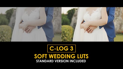 Download C-Log3 Soft Wedding and Standard Color LUTs Apple Motion Template