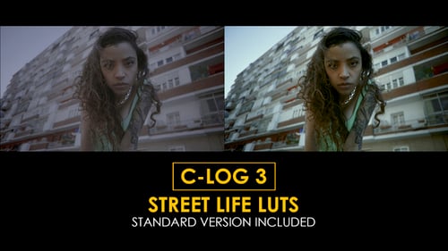 Download C-Log3 Street Life and Standard Color LUTs Apple Motion Template