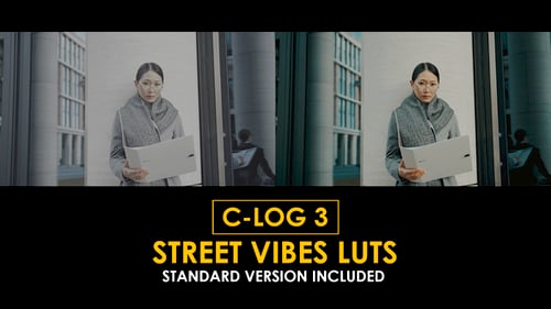 Download C-Log3 Street Vibes and Standard Color LUTs Apple Motion Template