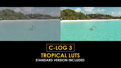 Download C-Log3 Tropical and Standard Color LUTs Apple Motion Template