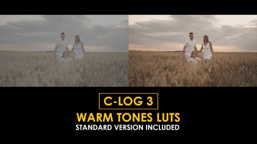 Download C-Log3 Warm Tones and Standard Color LUTs Apple Motion Template