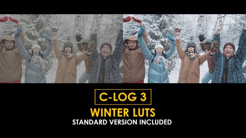 Download C-Log3 Winter and Standard Color LUTs Apple Motion Template