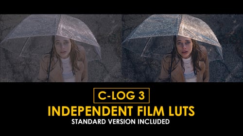 Download Canon C-Log3 Independent Film and Standard Color LUTs Apple Motion Template