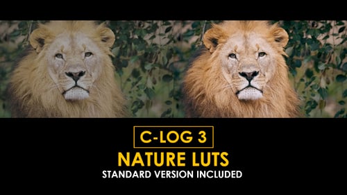 Download Canon C-Log3 Nature and Standard Color LUTs Apple Motion Template