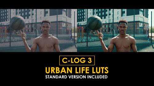 Download Canon C-Log3 Urban Life and Standard Color LUTs Apple Motion Template