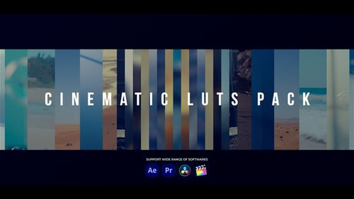 Download Cinematic LUTs | Final Cut Pro X Apple Motion Template