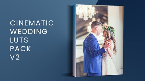 Download Cinematic Wedding LUTs Pack V2 Apple Motion Template