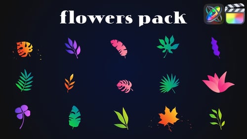 Download Colorful Flowers Pack for FCPX Apple Motion Template