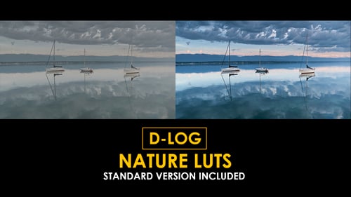 Download D-Log Cinema Drone Film Color LUTs Apple Motion Template