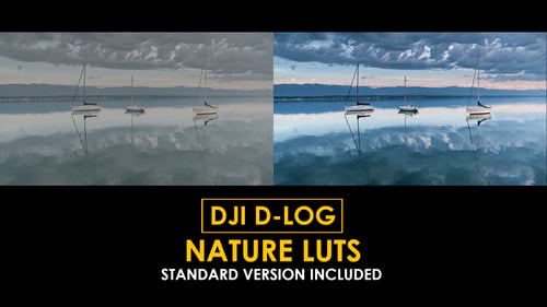 Download D-Log Nature Color LUTs Apple Motion Template