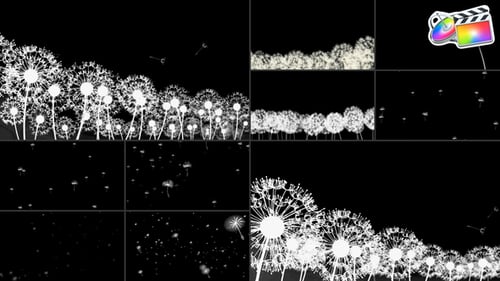 Download Dandelion Breeze | FCPX Apple Motion Template