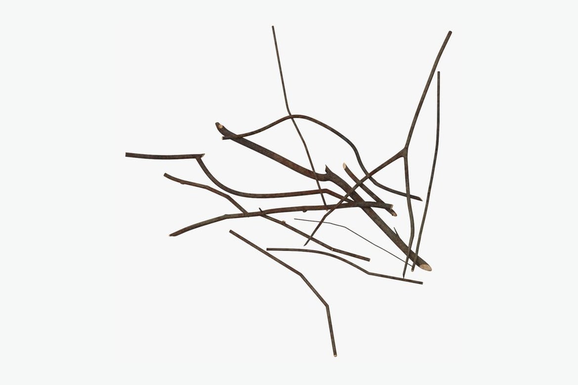 Download Dark Brown Twigs A Study in Texture and Form 3D Model