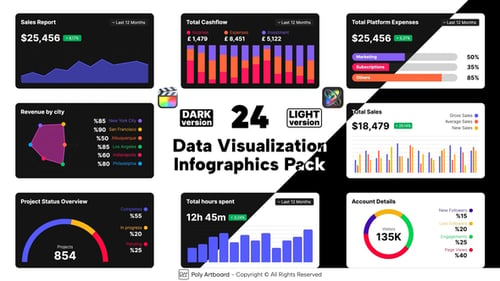 Download Data Visualizations Infographics Pack For Final Cut Pro X Apple Motion Template