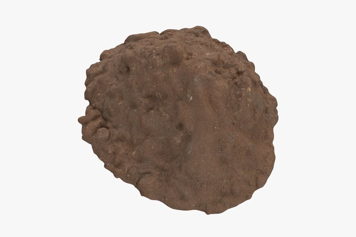 Download Dirty Pile Medium, Brown Rock with Irregular Shape and Rough Texture 3D Model