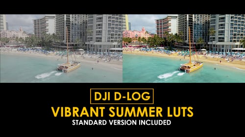 Download DJI D-Log Vibrant Summer LUTs Apple Motion Template