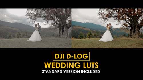 Download DJI D-Log Wedding LUTs Apple Motion Template